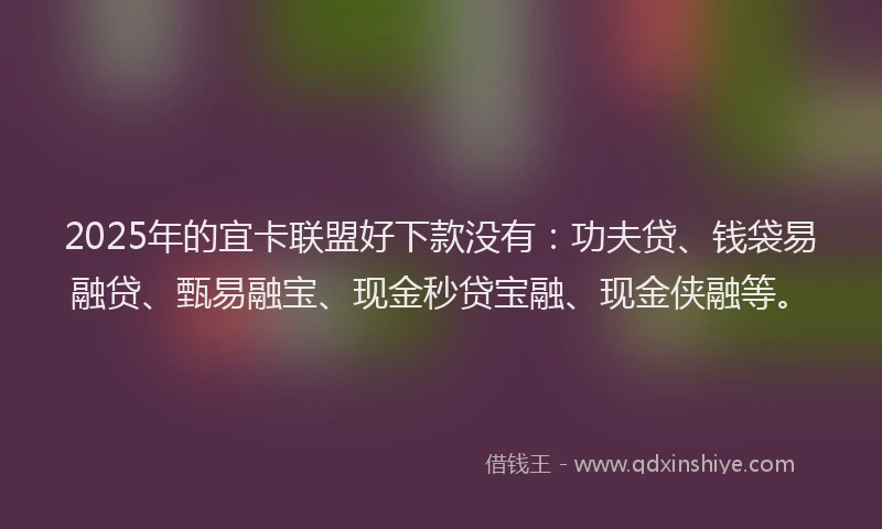 2025年的宜卡联盟好下款没有：功夫贷、钱袋易融贷、甄易融宝、现金秒贷宝融、现金侠融等。