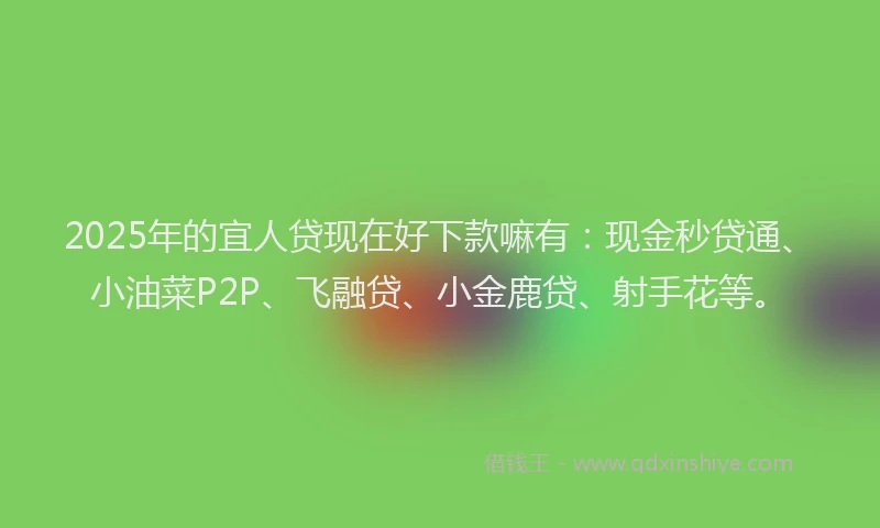 2025年的宜人贷现在好下款嘛有：现金秒贷通、小油菜P2P、飞融贷、小金鹿贷、射手花等。