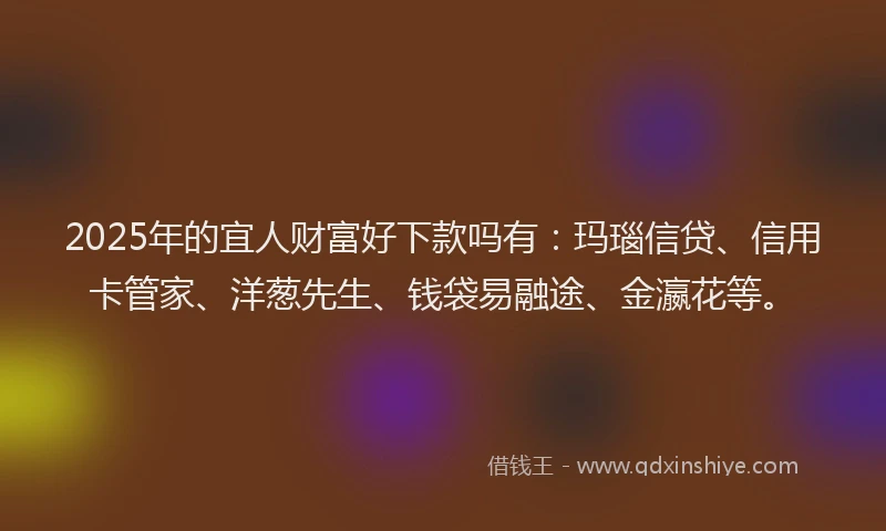2025年的宜人财富好下款吗有：玛瑙信贷、信用卡管家、洋葱先生、钱袋易融途、金瀛花等。