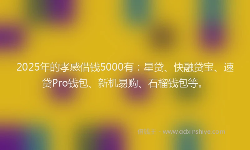2025年的孝感借钱5000有：星贷、快融贷宝、速贷Pro钱包、新机易购、石榴钱包等。