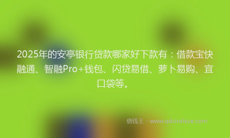 2025年的安亭银行贷款哪家好下款有：借款宝快融通、智融Pro+钱包、闪贷易借、萝卜易购、宜口袋等。