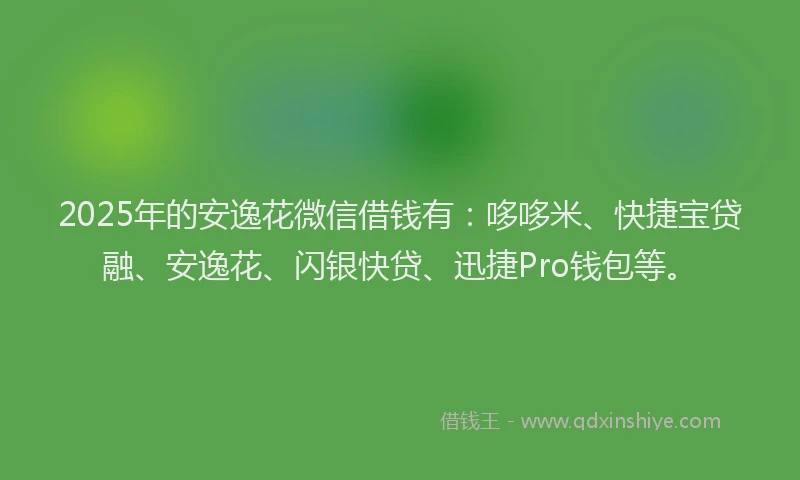 2025年的安逸花微信借钱有：哆哆米、快捷宝贷融、安逸花、闪银快贷、迅捷Pro钱包等。