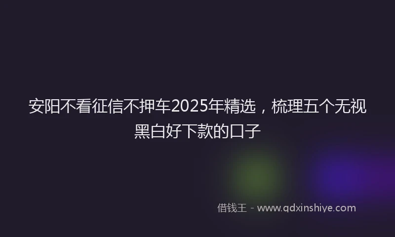 安阳不看征信不押车2025年精选，梳理五个无视黑白好下款的口子