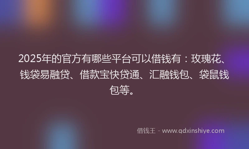 2025年的官方有哪些平台可以借钱有：玫瑰花、钱袋易融贷、借款宝快贷通、汇融钱包、袋鼠钱包等。