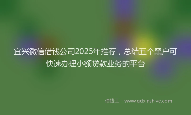 宜兴微信借钱公司2025年推荐，总结五个黑户可快速办理小额贷款业务的平台