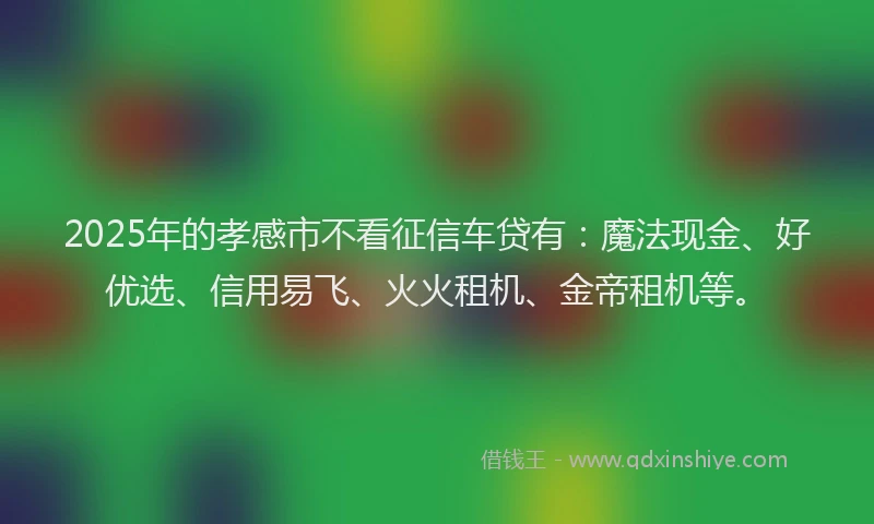 2025年的孝感市不看征信车贷有：魔法现金、好优选、信用易飞、火火租机、金帝租机等。