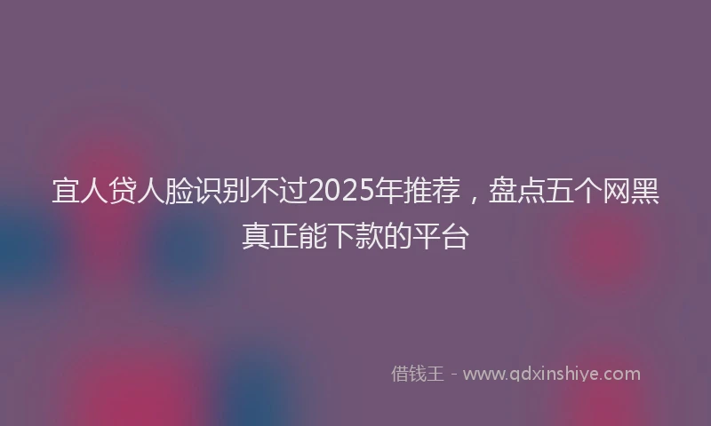 宜人贷人脸识别不过2025年推荐，盘点五个网黑真正能下款的平台