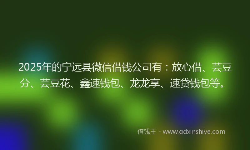 2025年的宁远县微信借钱公司有：放心借、芸豆分、芸豆花、鑫速钱包、龙龙享、速贷钱包等。