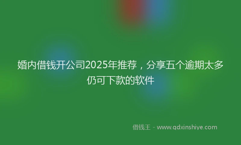 婚内借钱开公司2025年推荐，分享五个逾期太多仍可下款的软件