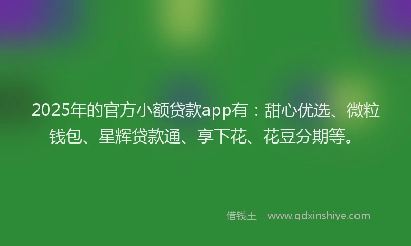 2025年的官方小额贷款app有：甜心优选、微粒钱包、星辉贷款通、享下花、花豆分期等。