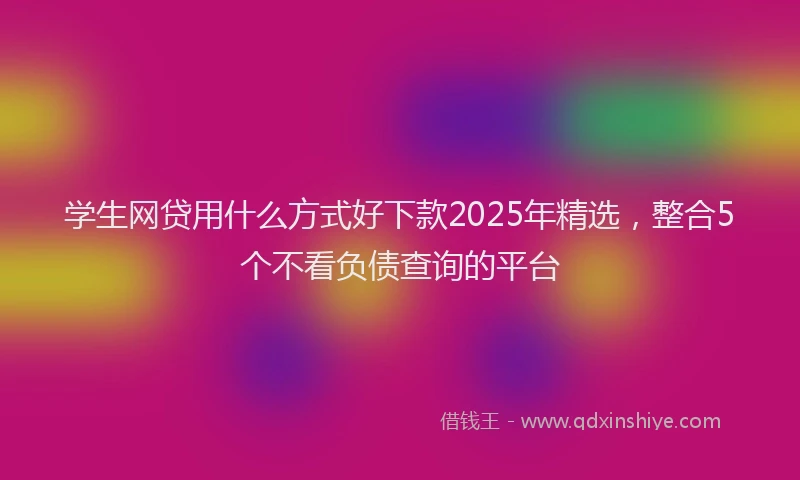 学生网贷用什么方式好下款2025年精选，整合5个不看负债查询的平台