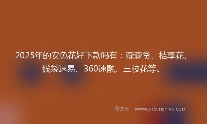 2025年的安兔花好下款吗有：森森贷、桔享花、钱袋速易、360速融、三枝花等。