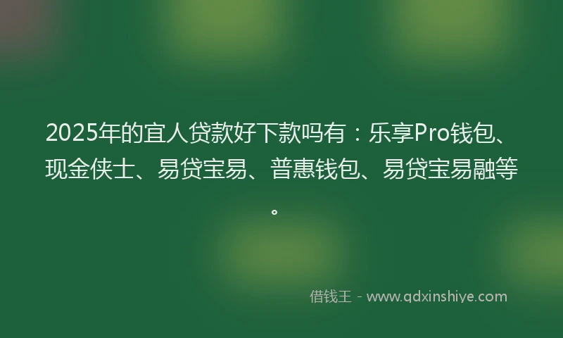 2025年的宜人贷款好下款吗有：乐享Pro钱包、现金侠士、易贷宝易、普惠钱包、易贷宝易融等。