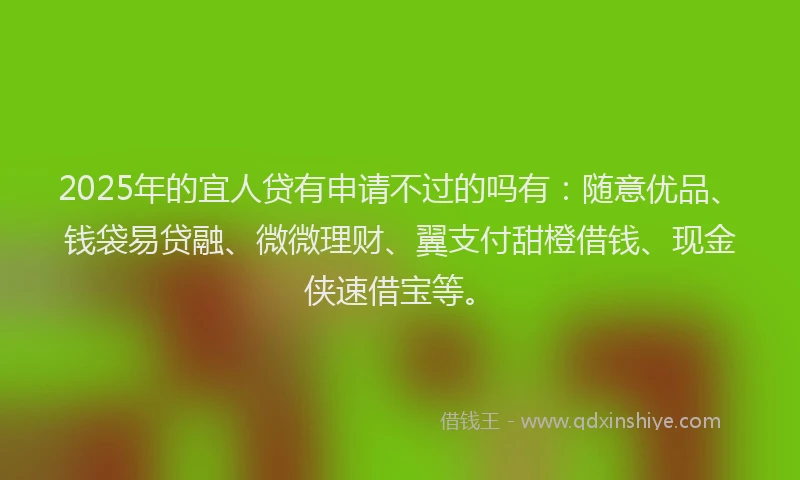 2025年的宜人贷有申请不过的吗有：随意优品、钱袋易贷融、微微理财、翼支付甜橙借钱、现金侠速借宝等。