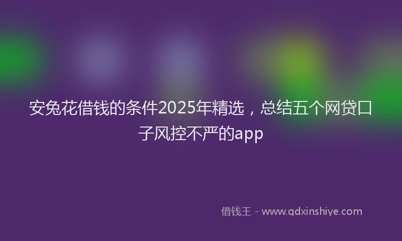 安兔花借钱的条件2025年精选，总结五个网贷口子风控不严的app
