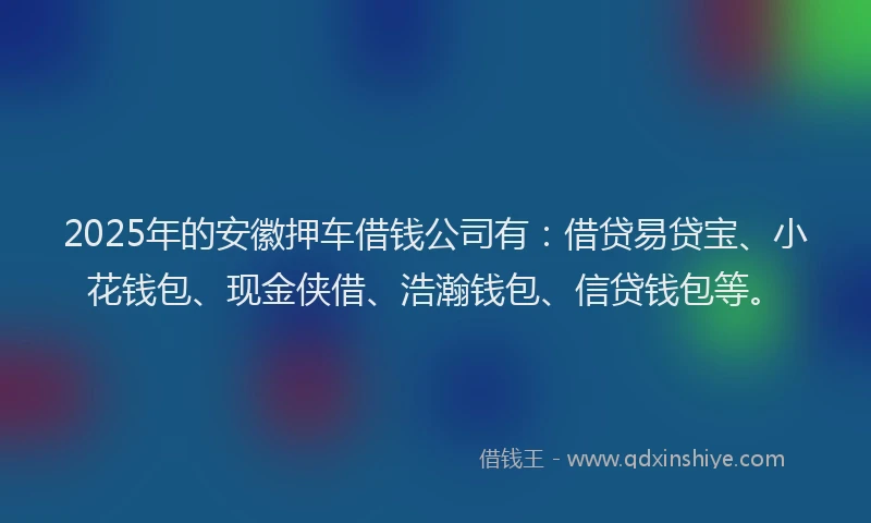 2025年的安徽押车借钱公司有：借贷易贷宝、小花钱包、现金侠借、浩瀚钱包、信贷钱包等。