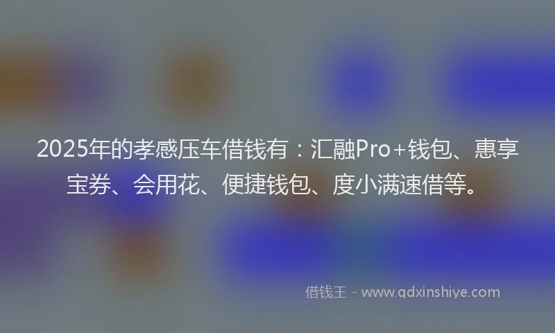 2025年的孝感压车借钱有：汇融Pro+钱包、惠享宝券、会用花、便捷钱包、度小满速借等。