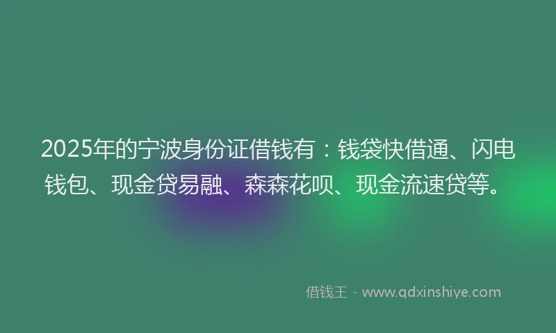 2025年的宁波身份证借钱有：钱袋快借通、闪电钱包、现金贷易融、森森花呗、现金流速贷等。