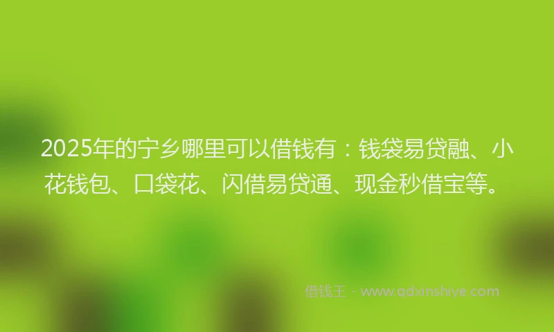 2025年的宁乡哪里可以借钱有：钱袋易贷融、小花钱包、口袋花、闪借易贷通、现金秒借宝等。