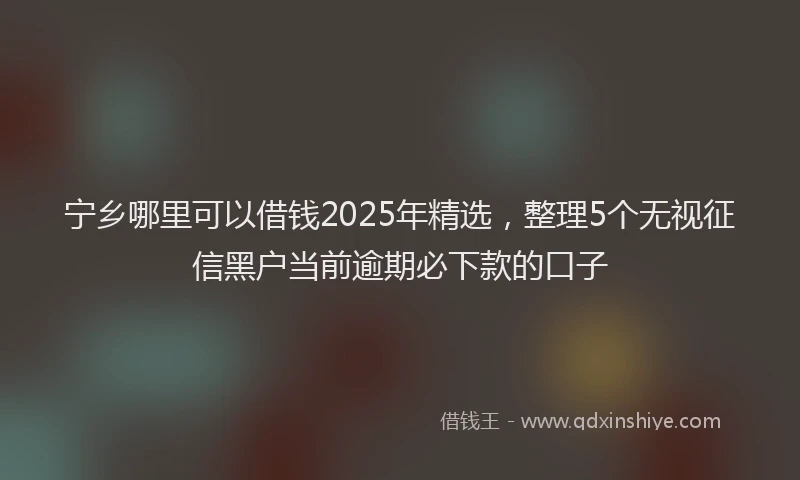 宁乡哪里可以借钱2025年精选，整理5个无视征信黑户当前逾期必下款的口子