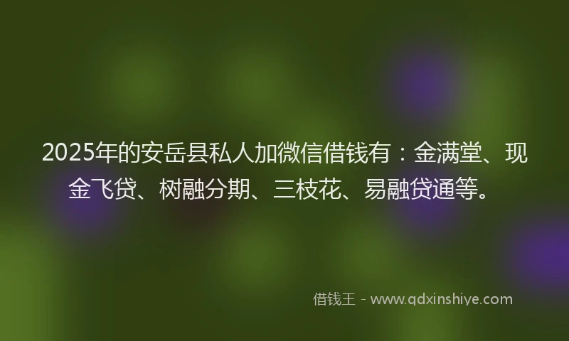 2025年的安岳县私人加微信借钱有：金满堂、现金飞贷、树融分期、三枝花、易融贷通等。