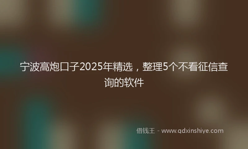 宁波高炮口子2025年精选，整理5个不看征信查询的软件