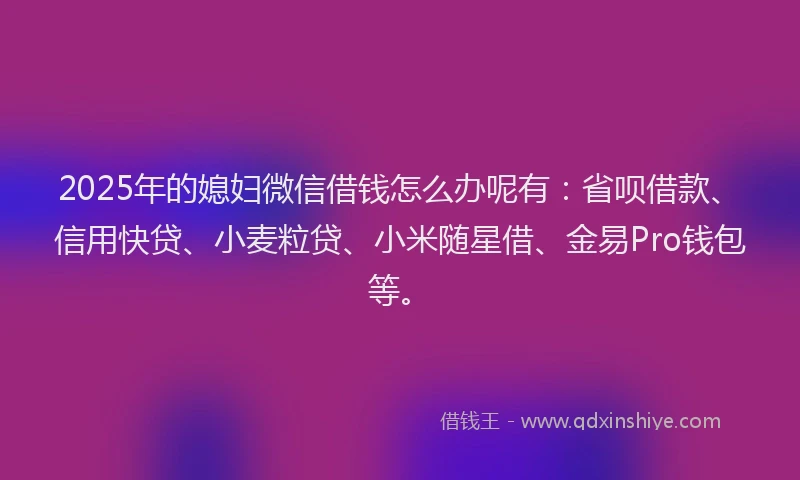 2025年的媳妇微信借钱怎么办呢有：省呗借款、信用快贷、小麦粒贷、小米随星借、金易Pro钱包等。