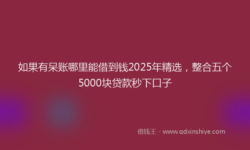 如果有呆账哪里能借到钱2025年精选，整合五个5000块贷款秒下口子