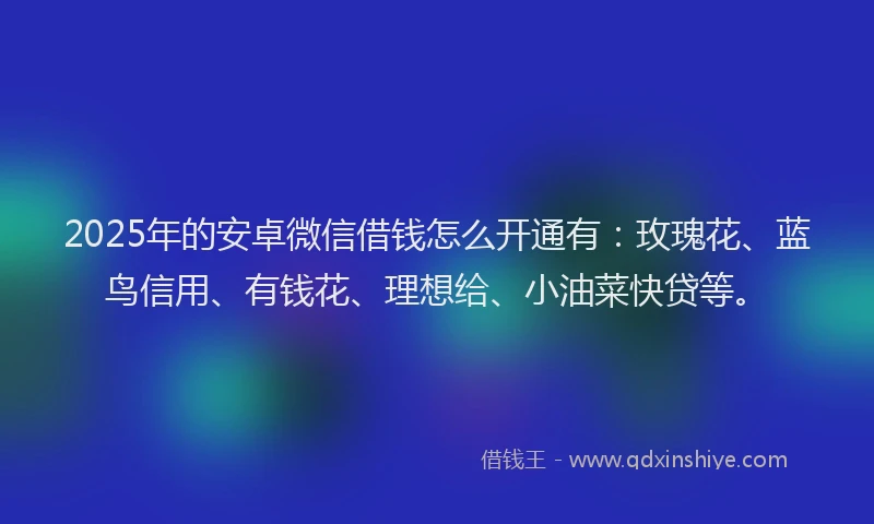 2025年的安卓微信借钱怎么开通有：玫瑰花、蓝鸟信用、有钱花、理想给、小油菜快贷等。