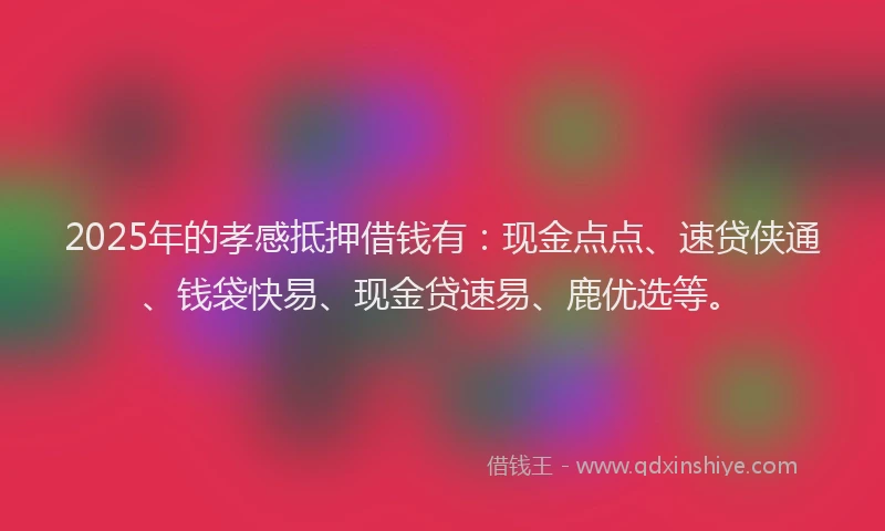 2025年的孝感抵押借钱有：现金点点、速贷侠通、钱袋快易、现金贷速易、鹿优选等。