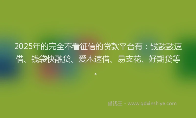2025年的完全不看征信的贷款平台有：钱鼓鼓速借、钱袋快融贷、爱木速借、易支花、好期贷等。