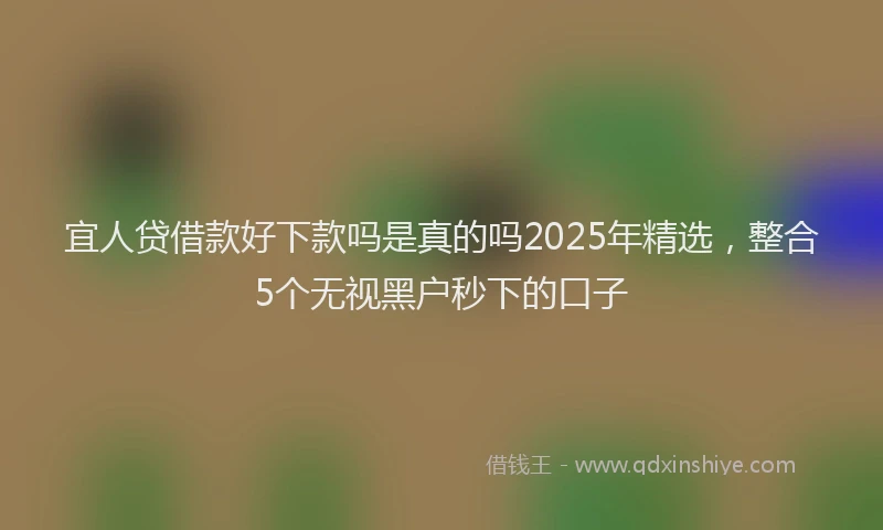 宜人贷借款好下款吗是真的吗2025年精选，整合5个无视黑户秒下的口子