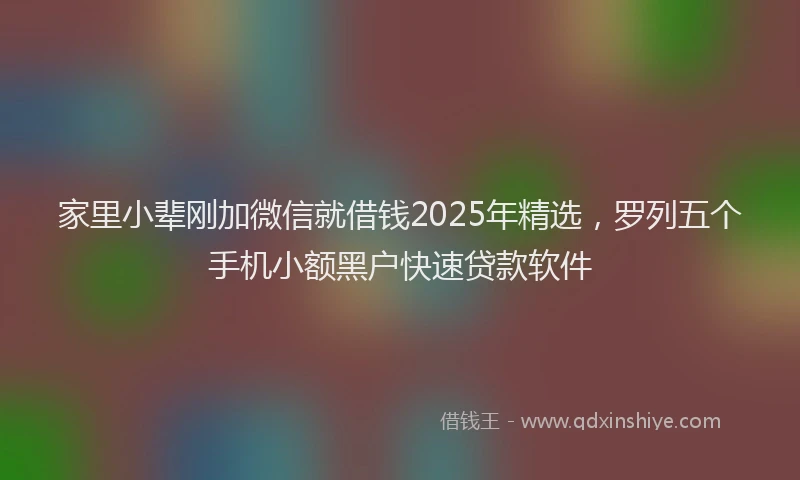 家里小辈刚加微信就借钱2025年精选，罗列五个手机小额黑户快速贷款软件