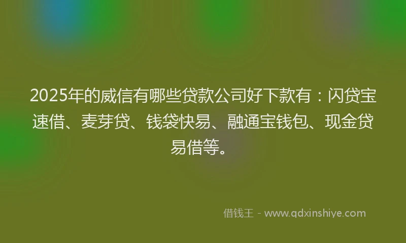 2025年的威信有哪些贷款公司好下款有：闪贷宝速借、麦芽贷、钱袋快易、融通宝钱包、现金贷易借等。