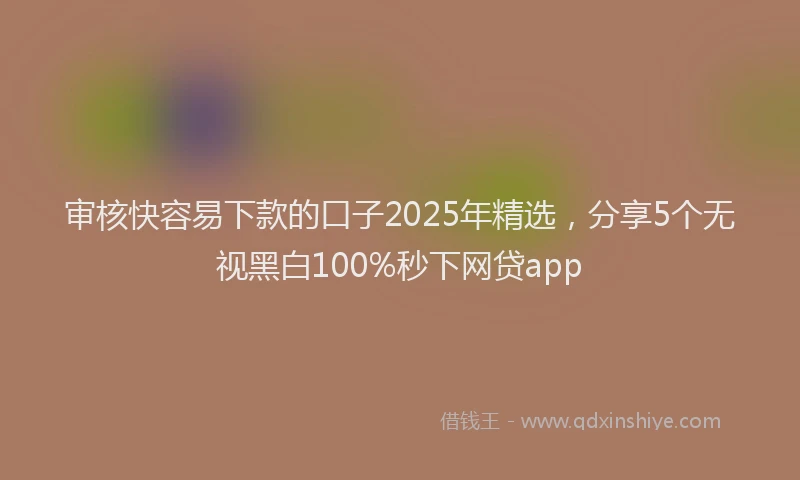 审核快容易下款的口子2025年精选，分享5个无视黑白100%秒下网贷app