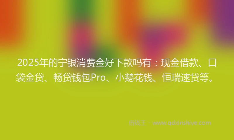 2025年的宁银消费金好下款吗有：现金借款、口袋金贷、畅贷钱包Pro、小鹅花钱、恒瑞速贷等。
