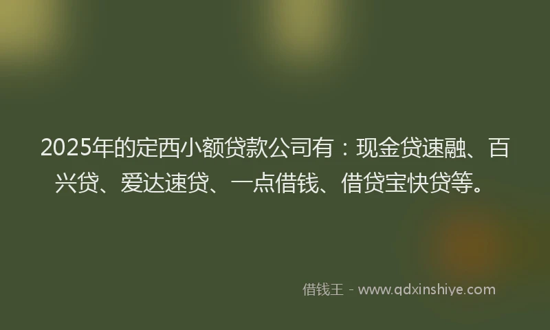 2025年的定西小额贷款公司有：现金贷速融、百兴贷、爱达速贷、一点借钱、借贷宝快贷等。