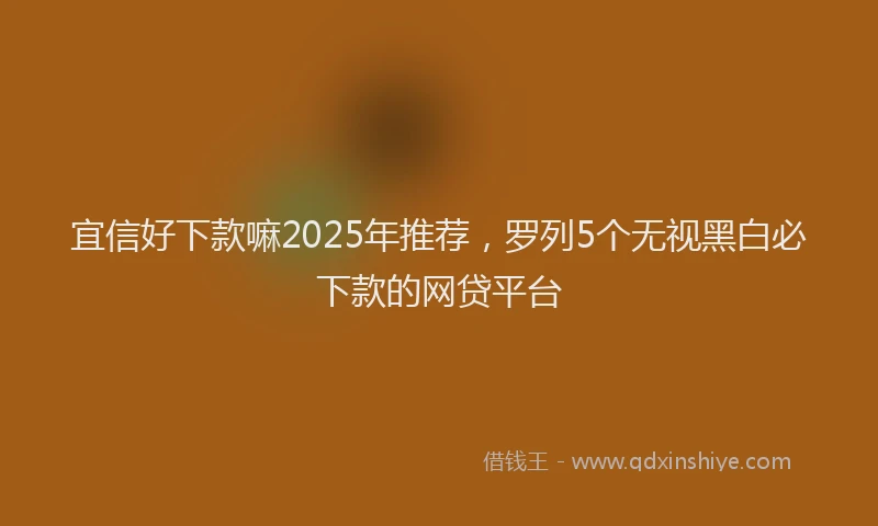 宜信好下款嘛2025年推荐，罗列5个无视黑白必下款的网贷平台