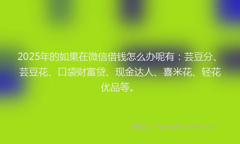 2025年的如果在微信借钱怎么办呢有：芸豆分、芸豆花、口袋财富贷、现金达人、喜米花、轻花优品等。