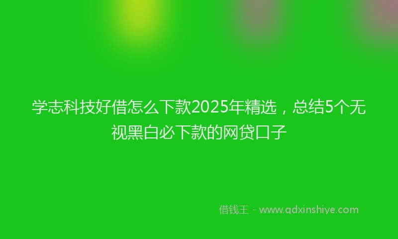 学志科技好借怎么下款2025年精选，总结5个无视黑白必下款的网贷口子