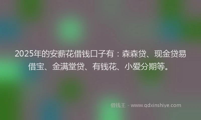 2025年的安薪花借钱口子有：森森贷、现金贷易借宝、金满堂贷、有钱花、小爱分期等。