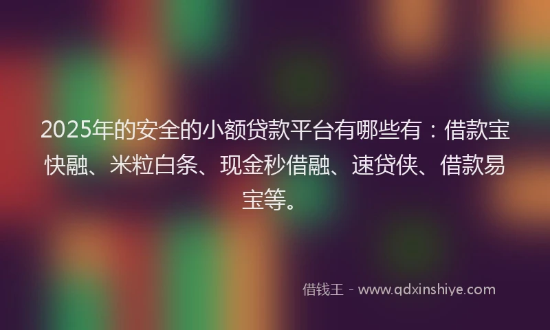 2025年的安全的小额贷款平台有哪些有：借款宝快融、米粒白条、现金秒借融、速贷侠、借款易宝等。