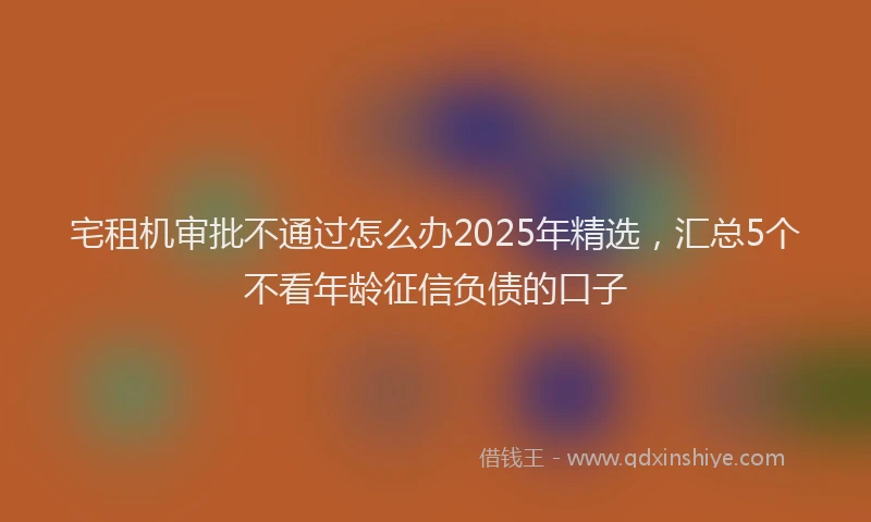 宅租机审批不通过怎么办2025年精选，汇总5个不看年龄征信负债的口子
