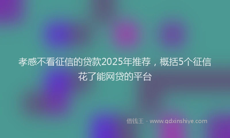 孝感不看征信的贷款2025年推荐，概括5个征信花了能网贷的平台