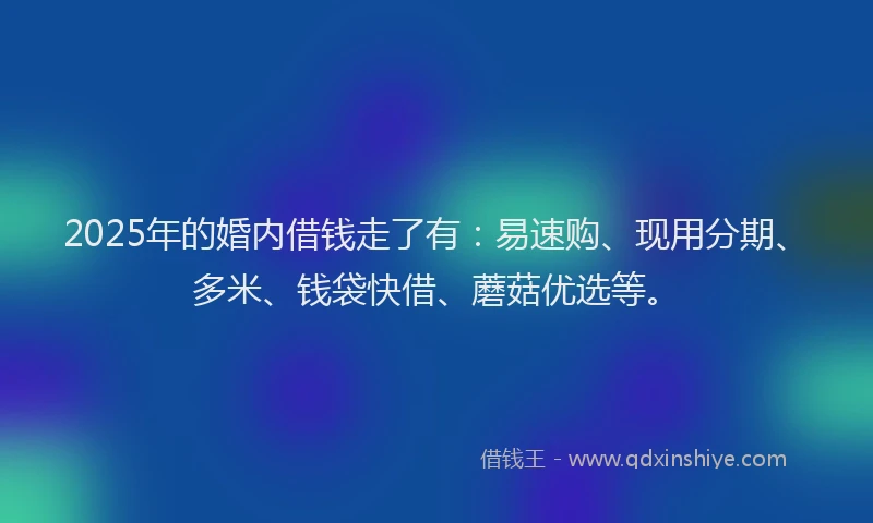 2025年的婚内借钱走了有：易速购、现用分期、多米、钱袋快借、蘑菇优选等。
