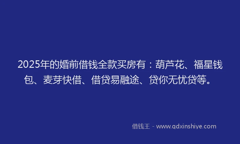 2025年的婚前借钱全款买房有：葫芦花、福星钱包、麦芽快借、借贷易融途、贷你无忧贷等。