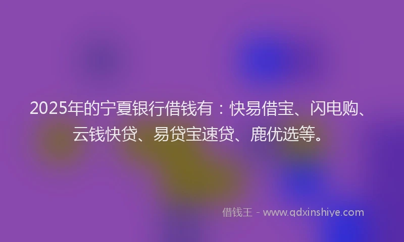 2025年的宁夏银行借钱有：快易借宝、闪电购、云钱快贷、易贷宝速贷、鹿优选等。