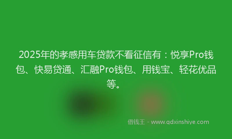 2025年的孝感用车贷款不看征信有：悦享Pro钱包、快易贷通、汇融Pro钱包、用钱宝、轻花优品等。