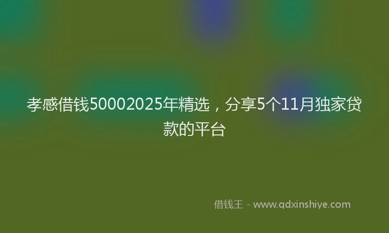 孝感借钱50002025年精选，分享5个11月独家贷款的平台