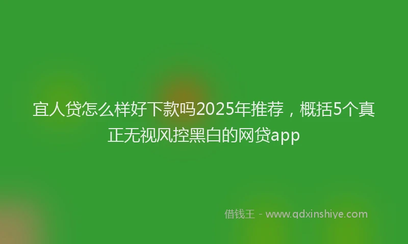 宜人贷怎么样好下款吗2025年推荐，概括5个真正无视风控黑白的网贷app